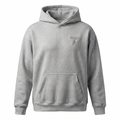 Origin Hoodie - Gray